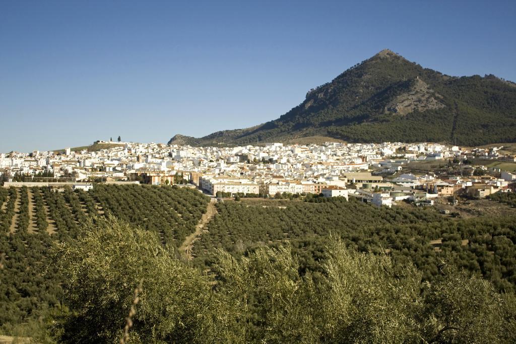 El Rincon De Carmen Pensionat Rute Exteriör bild