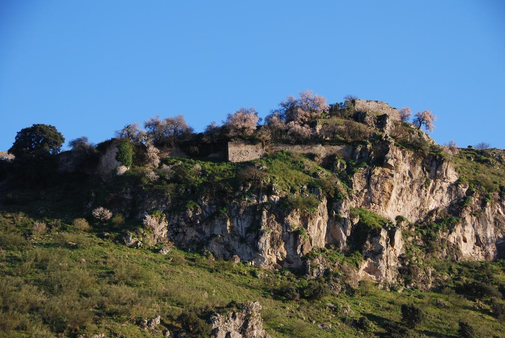 El Rincon De Carmen Pensionat Rute Exteriör bild